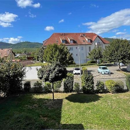 Les Tuileries Eguisheim Daire Dış mekan fotoğraf